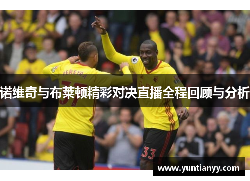 诺维奇与布莱顿精彩对决直播全程回顾与分析